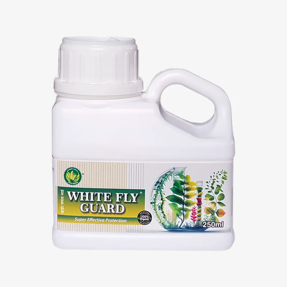 White-Fly-Guard